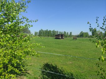 Ustájení Třeboňsko - 13