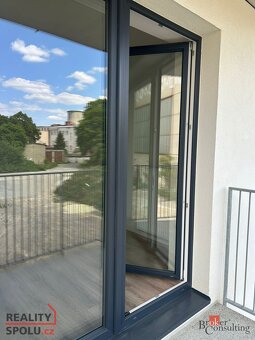 Pronájem, byty/1+kk, 28 m2, Křenová 551/43, 60200 Brno, Brno - 13