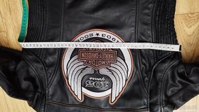 Harley Davidson - 13