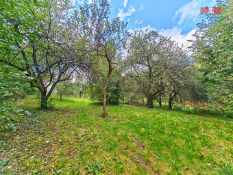 Prodej rodinného domu, 2656 m², Leština - 13