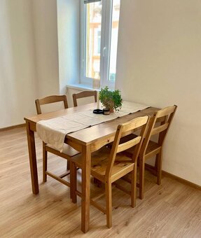 Pronájem 1+1 Štítného, České Budějovice - 13