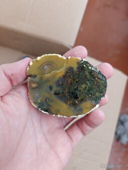 Acháty řezy Timor - 13