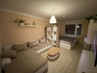 Pronájem bytu Střekov 2+1 - 13