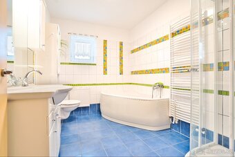 Prodej rodinného domu 137 m², pozemek 4273 m² Loučka - 13