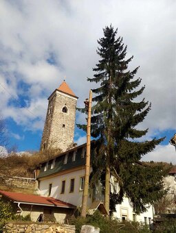 Rizikové kácení stromů – výškové práce - 13