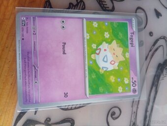 Pokémon kartičky - 13