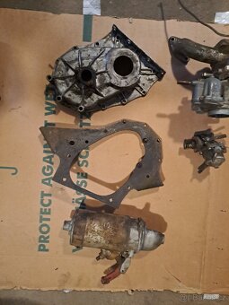 Felicia octavia spartak veterán - 13