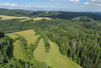 Prodej souboru zemědělských pozemků, 73 836 m², Městečko Trn - 13