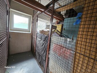 Prodám byt 2+1 balkon Náměstí Republiky Mladá Boleslav - 13
