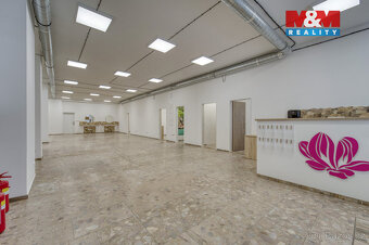 Pronájem obchod a služby, 310 m², Plzeň, ul. Sokolovská - 13