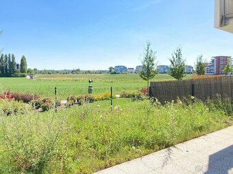 Pronájem Bytu 2+kk Praha 9 Letňany ulice Kadečkové - 13