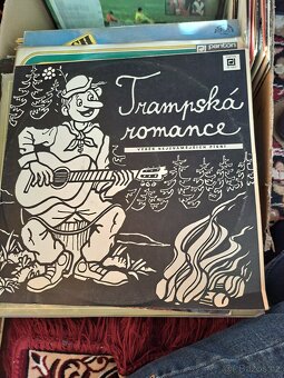 Desky, více jak 150 ks, pop, country, dechovka - 13