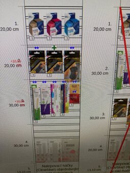 Britská kotjatka - 13