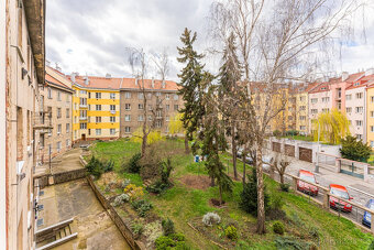 Pronájem bytu 1+kk, U Družstva Repo, Nusle, 15900 Kč/měs, 41 - 13