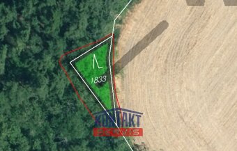 Prodej unikátních lesních pozemků v katastrálním území Hodyn - 13