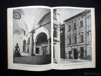 Umělecké památky Jihlavy ( rozfoceno 20 snímků ) - 13