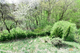 Prodej chaty se zahradou, 1.626 m2 - 13