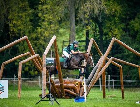 Perfektní klisna pro juniory do mezinárodní všestrannosti - 13