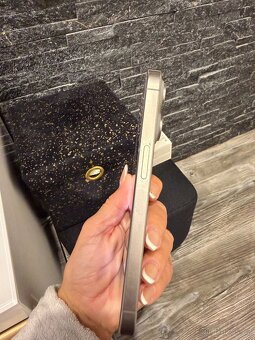 Apple Iphone 15 Pro 256 GB přírodní titan - 13