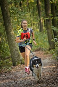 Krytí chovným psem- Australský ovčáka s PP - 13