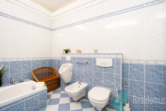 Prodej, rodinný dům, komerční prostory, Trhové Sviny, okr. Č - 13