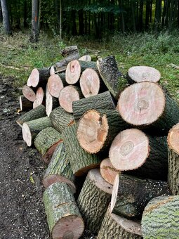 Prodej palivového dřeva - 13