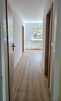 Dlouhodobý pronájem bytu 1+1 (2kk) 36m2 v Desné - 13