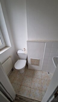 Pronájem domu 4+kk, Dolní Beřkovice, Mělník - 13