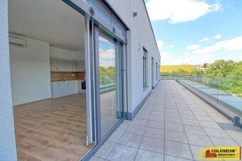 Znojmo, pronájem bytu OV 2+kk,  62 m², terasa – byt - 13
