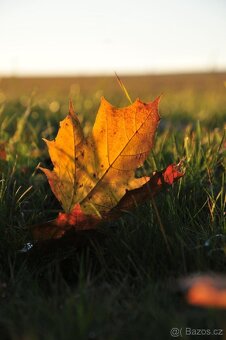 Nikon D5000 + kompletní výbava - 13