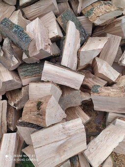 Palivové dřevo dříví - 13