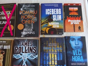 Thrillery, detektivky - 13