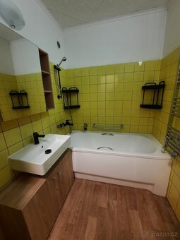 Pronájem bytu 3+1 s lodžií, Třemošná - 13