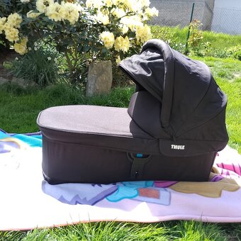 Thule - 13