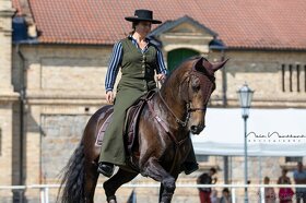 PŘIPOUŠTĚNÍ PSL - 13