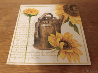 Obrázky a rámečky - 13