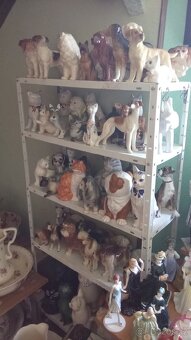 Prodám vše co je na obrázku - 13