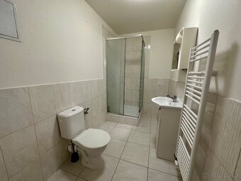 Pronájem bytu 3+kk 80 m2, ulice Francouzská - Brno - 13