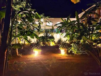 Na zimu do Karibiku,apartman u vody, Yucatan, cesky majitel - 13