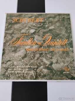 LP - desky vinyl vážná hudba-Schubert , Mozart a další - 13