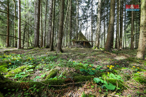 Prodej 1/3 lesa, 2967 m², Čachrov - 13