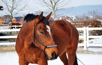 VALACH PARŤÁK PRO ŽIVOT A REKREACI - 13
