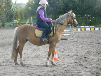 pony klisna - 13