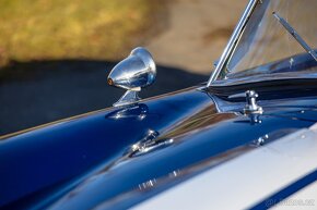 AC Cobra 427 Pilgrim - 13