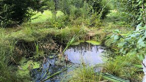 pronajem zahrady P R O N A J A T O volne 2/2026 - 13