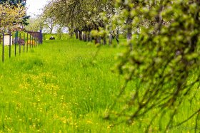 Prodej stavební parcely 2072 m2 Starý Hrozenkov - 13