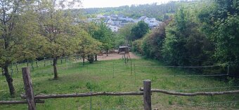 Nabídka ustájení 24/7 - 13