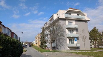 Pronájem: byt 2+1 s lodžií / Ivančice - 13
