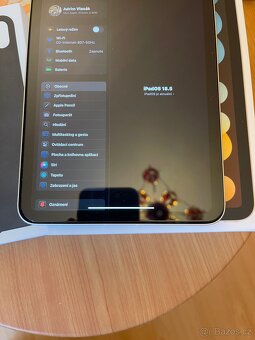 iPad mini 6 64 GB Cellular Gold - 13