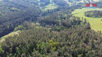 Prodej lesa, 23184 m², Milešov - 13